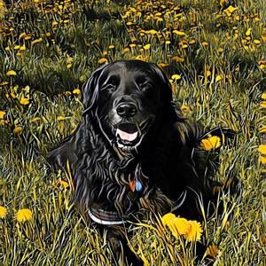 Meet your Posher, Catherine